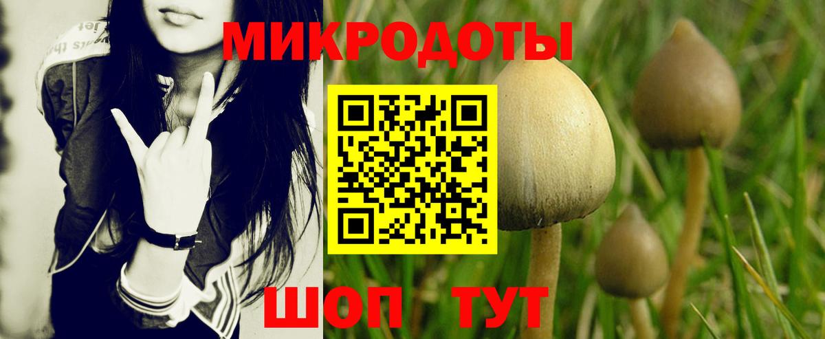 Галлюциногенные грибы мухоморы  Вход с VPN  Советский 